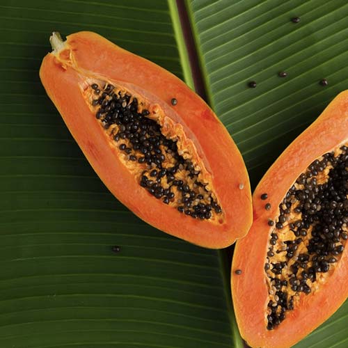 Papaya Prevenire è meglio che curare. Parola di nutraceutici e alimenti funzionali. -Nutraceutica e Natura